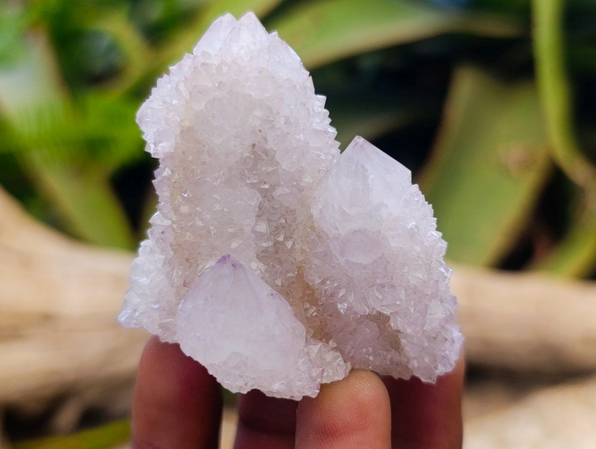 Natural Spirit Amethyst Clusters x 12 From Boekenhouthoek, South Africa