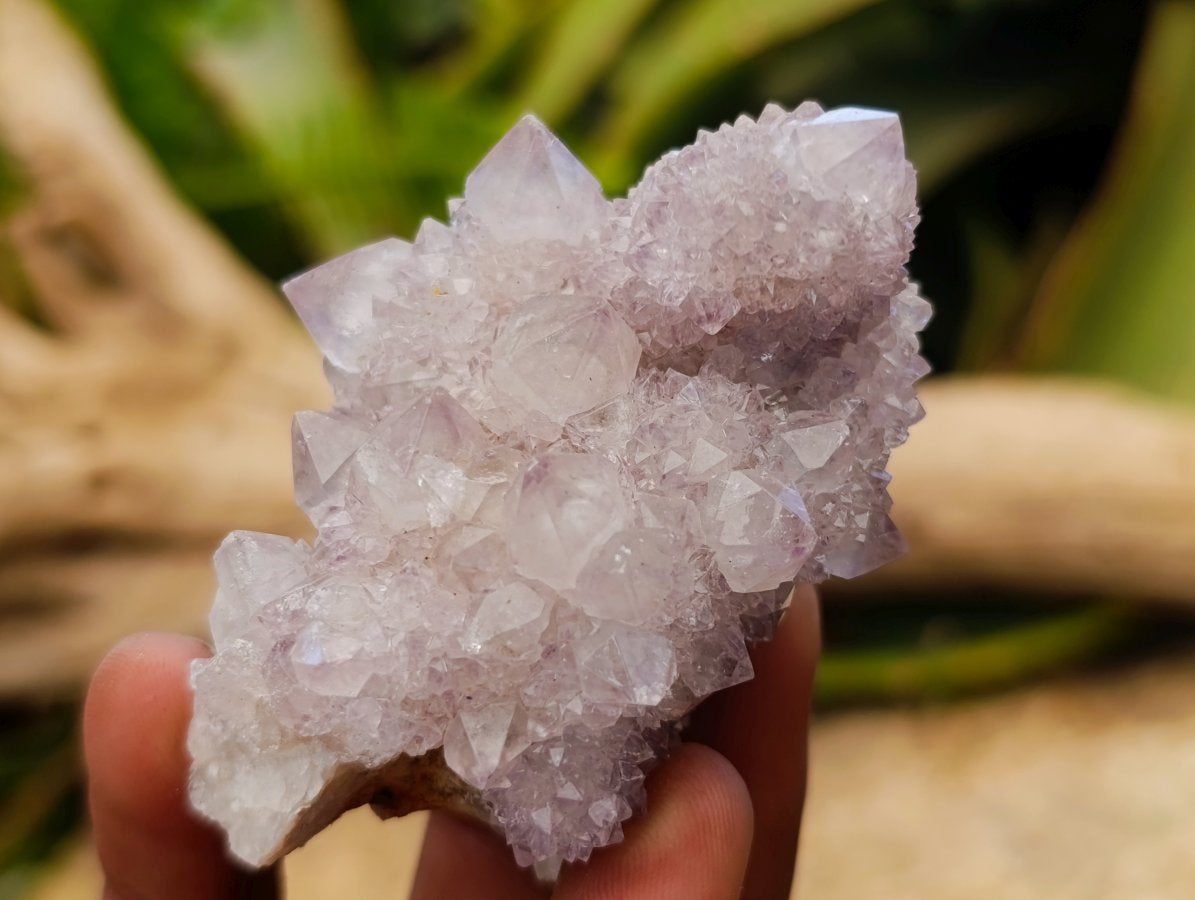 Natural Spirit Amethyst Clusters x 12 From Boekenhouthoek, South Africa