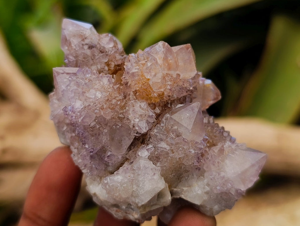 Natural Spirit Amethyst Clusters x 12 From Boekenhouthoek, South Africa