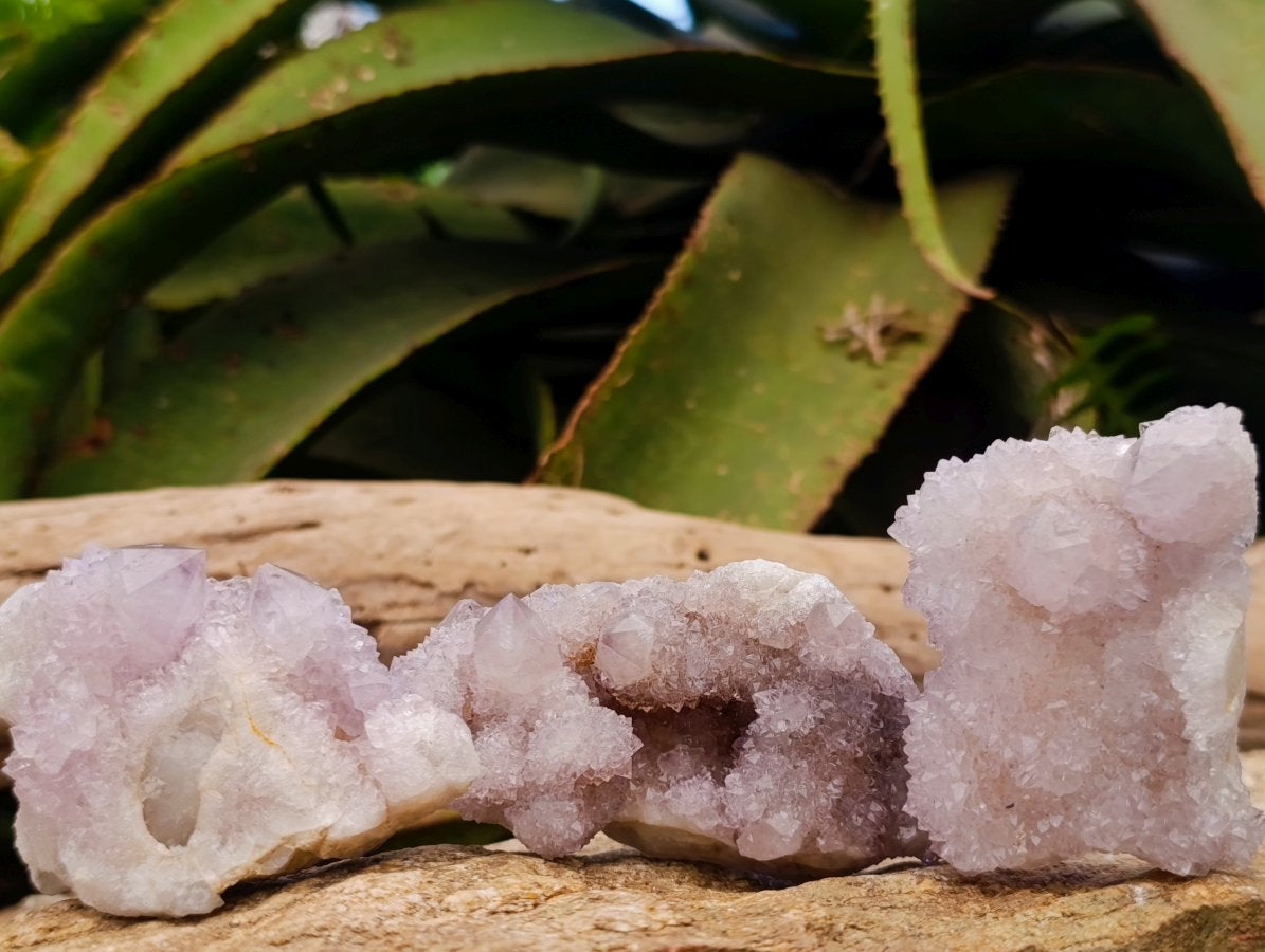 Natural Spirit Amethyst Clusters x 12 From Boekenhouthoek, South Africa