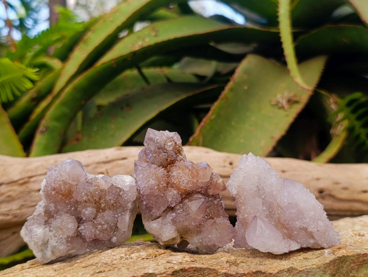 Natural Spirit Amethyst Clusters x 12 From Boekenhouthoek, South Africa