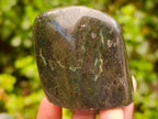 Polished Chrome Verdite Gemstone Standing Display Pieces x 12 From Zimbabwe