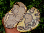 Polished Large Septerye Slices x 4 From Mahajanga, Madagascar