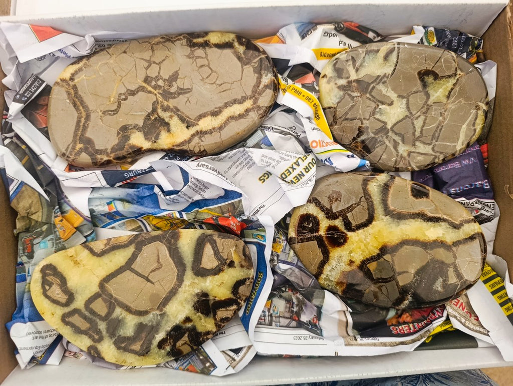 Polished Large Septerye Slices x 4 From Mahajanga, Madagascar