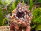 Natural Salrose Cobaltoan Dolomite Specimens x 12 From Kakanda, Congo