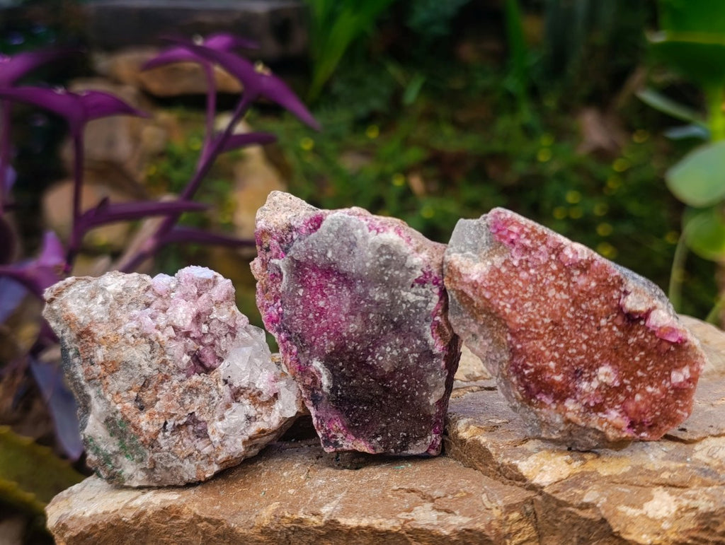 Natural Salrose Cobaltoan Dolomite Specimens x 12 From Kakanda, Congo
