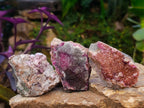Natural Salrose Cobaltoan Dolomite Specimens x 12 From Kakanda, Congo