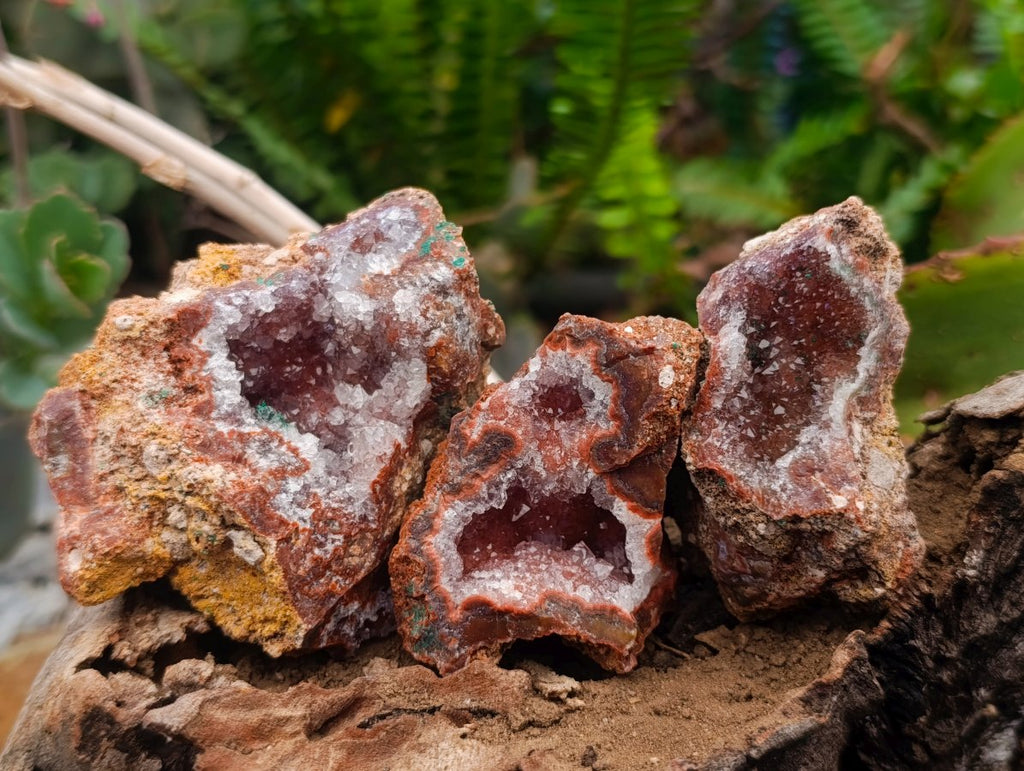 Natural Salrose Cobaltoan Dolomite Specimens x 12 From Kakanda, Congo
