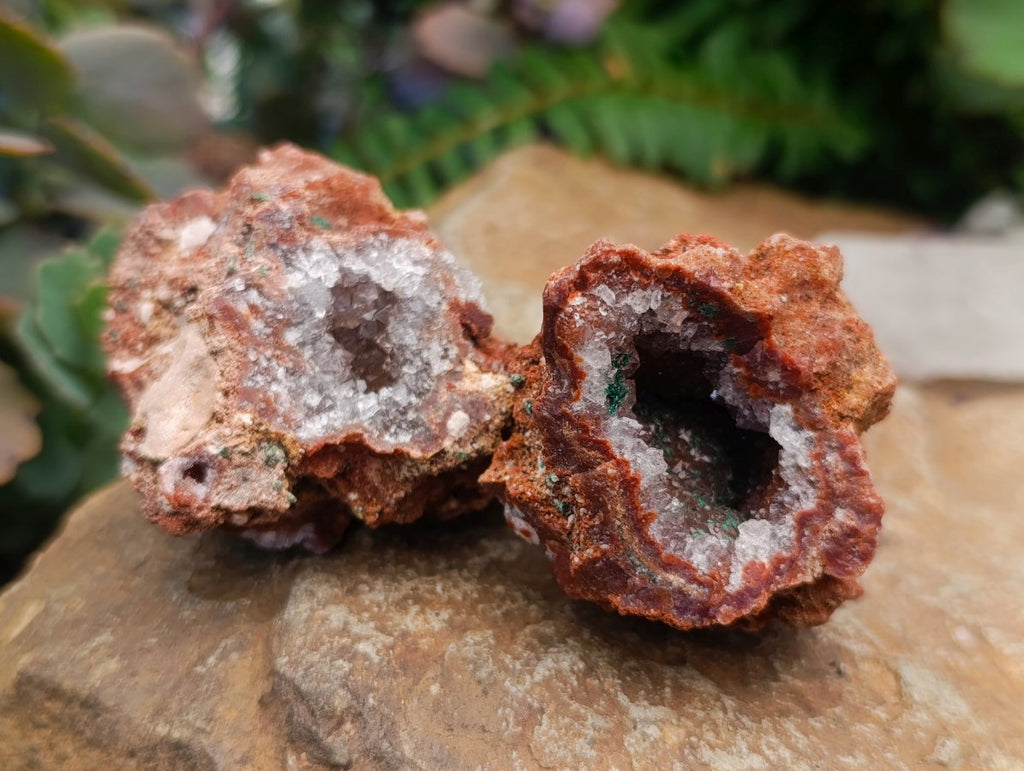 Natural Salrose Cobaltoan Dolomite Specimens x 12 From Kakanda, Congo