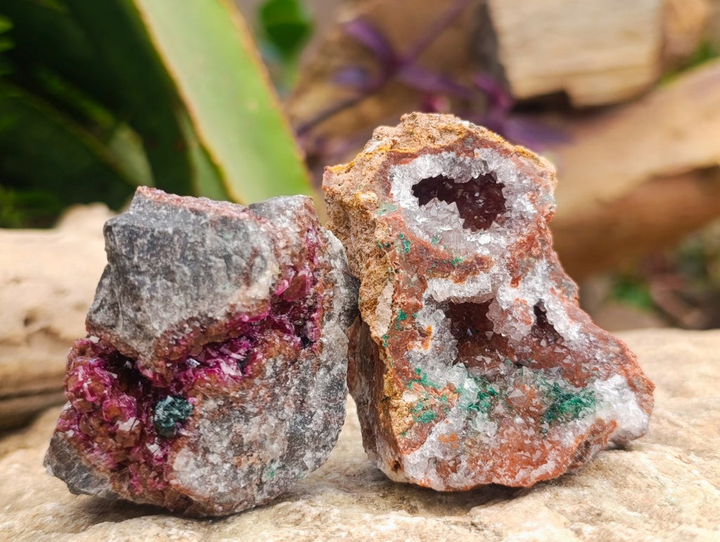 Natural Salrose Cobaltoan Dolomite Specimens x 12 From Kakanda, Congo