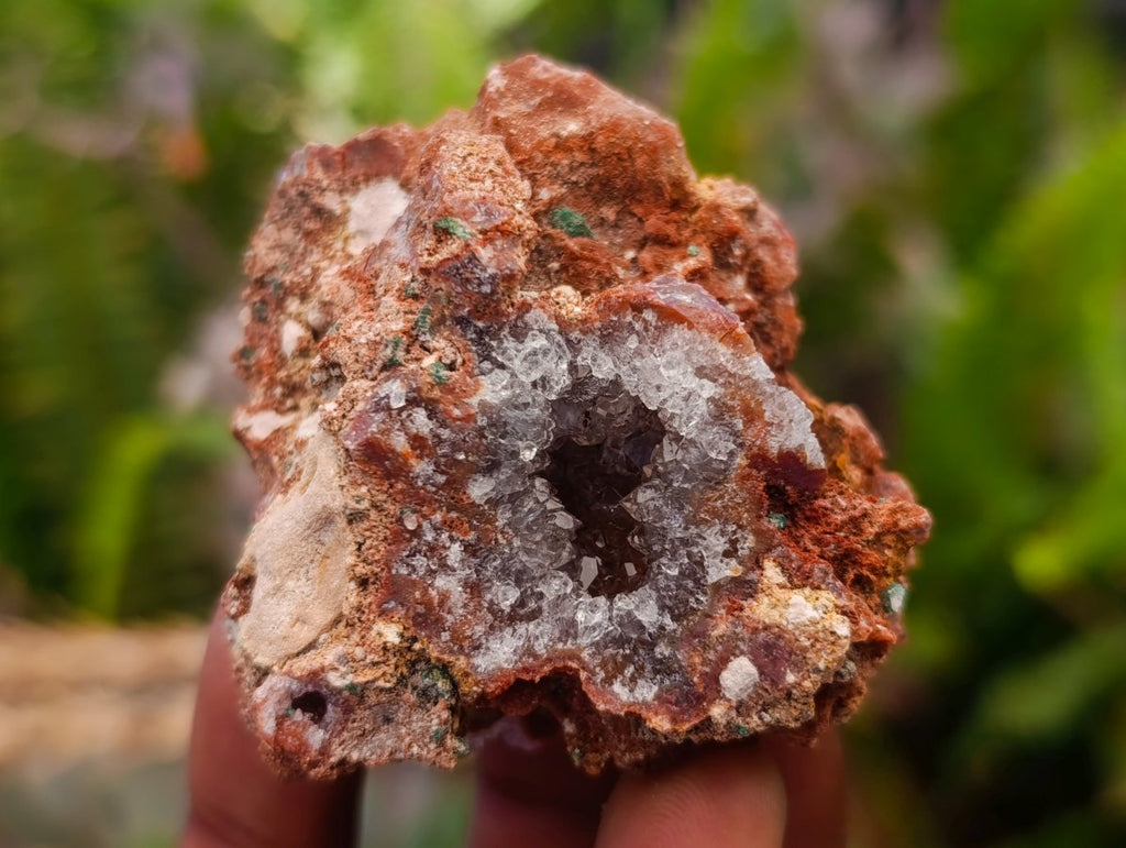 Natural Salrose Cobaltoan Dolomite Specimens x 12 From Kakanda, Congo