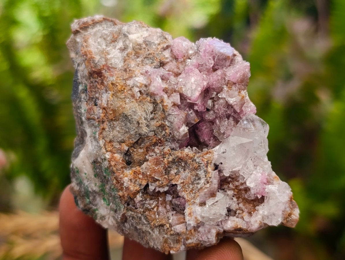 Natural Salrose Cobaltoan Dolomite Specimens x 12 From Kakanda, Congo
