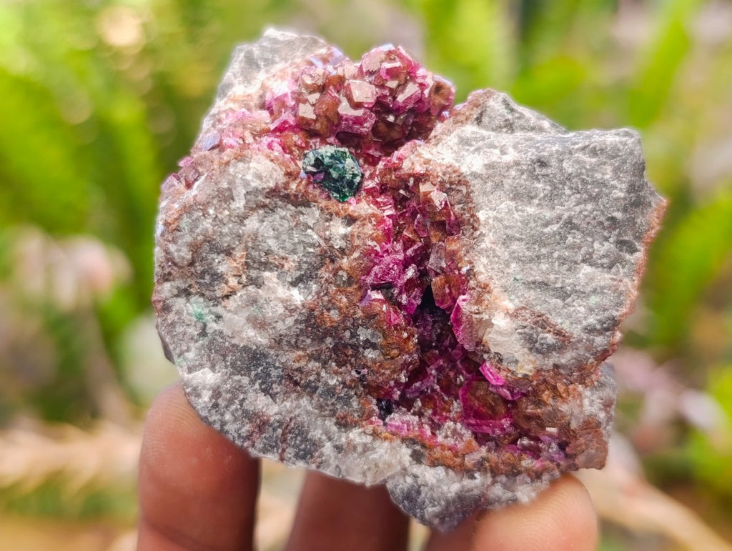 Natural Salrose Cobaltoan Dolomite Specimens x 12 From Kakanda, Congo