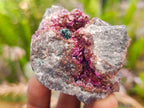 Natural Salrose Cobaltoan Dolomite Specimens x 12 From Kakanda, Congo
