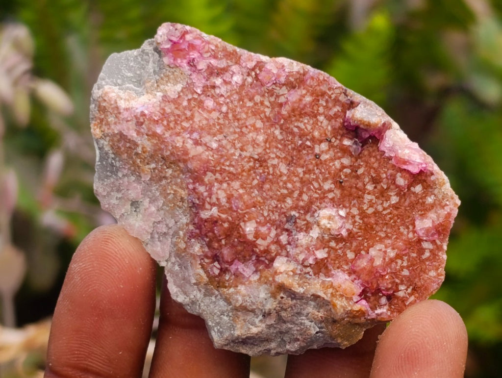 Natural Salrose Cobaltoan Dolomite Specimens x 12 From Kakanda, Congo