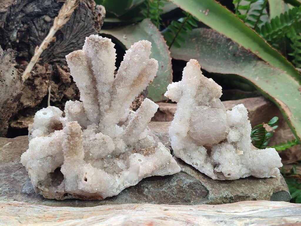 Natural Drusy Snow Finger Quartz Coated Clusters x 2 From Albert's Mountain, Lesotho