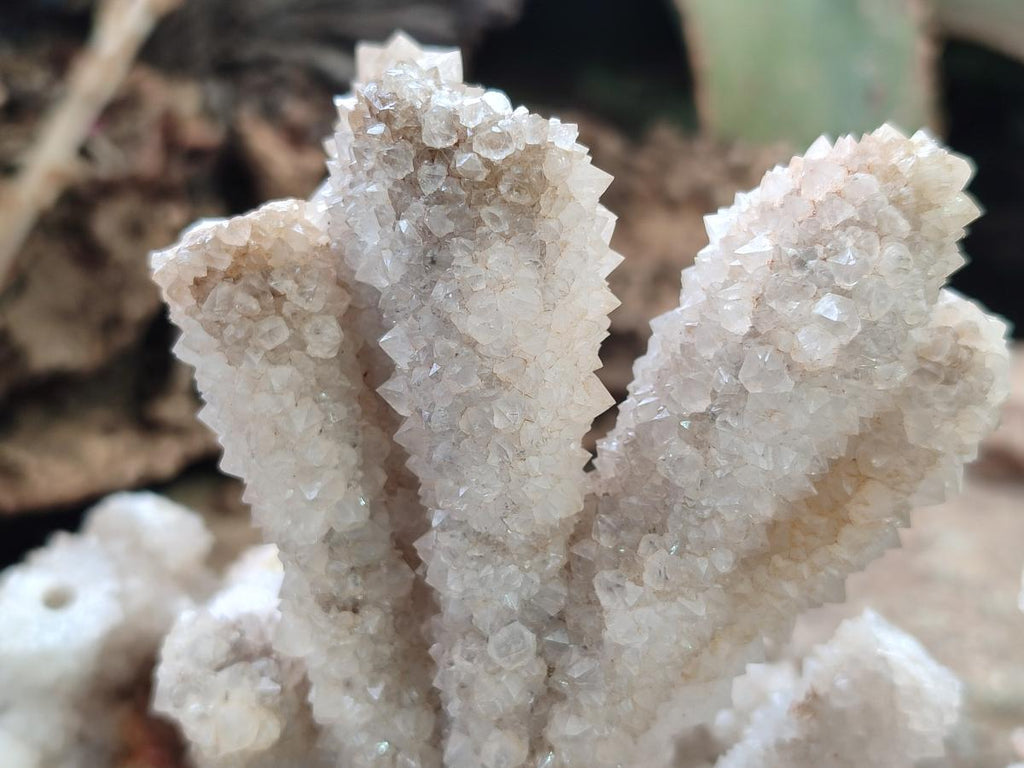 Natural Drusy Snow Finger Quartz Coated Clusters x 2 From Albert's Mountain, Lesotho