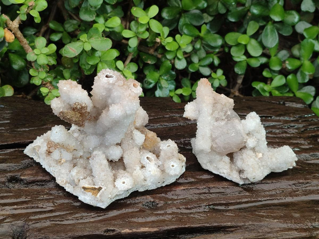 Natural Drusy Snow Finger Quartz Coated Clusters x 2 From Albert's Mountain, Lesotho