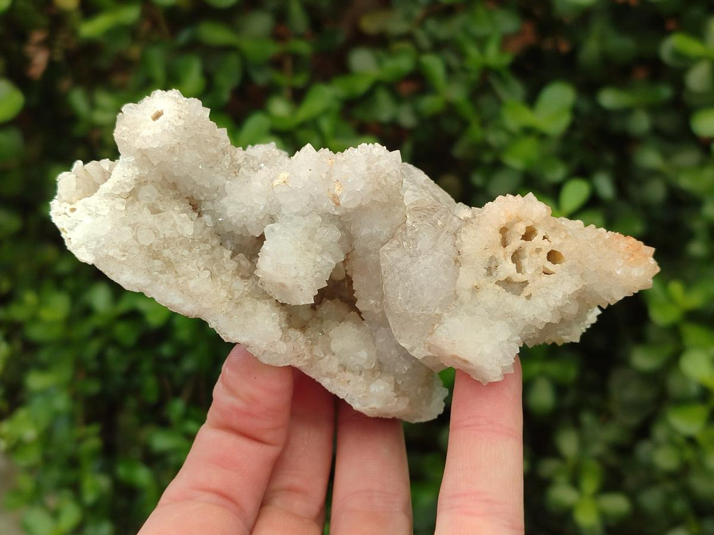 Natural Drusy Snow Finger Quartz Coated Clusters x 2 From Albert's Mountain, Lesotho