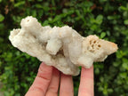 Natural Drusy Snow Finger Quartz Coated Clusters x 2 From Albert's Mountain, Lesotho