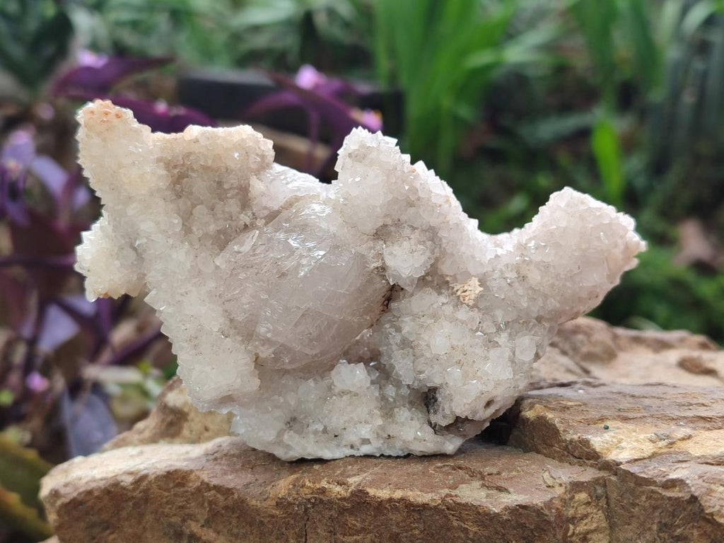 Natural Drusy Snow Finger Quartz Coated Clusters x 2 From Albert's Mountain, Lesotho