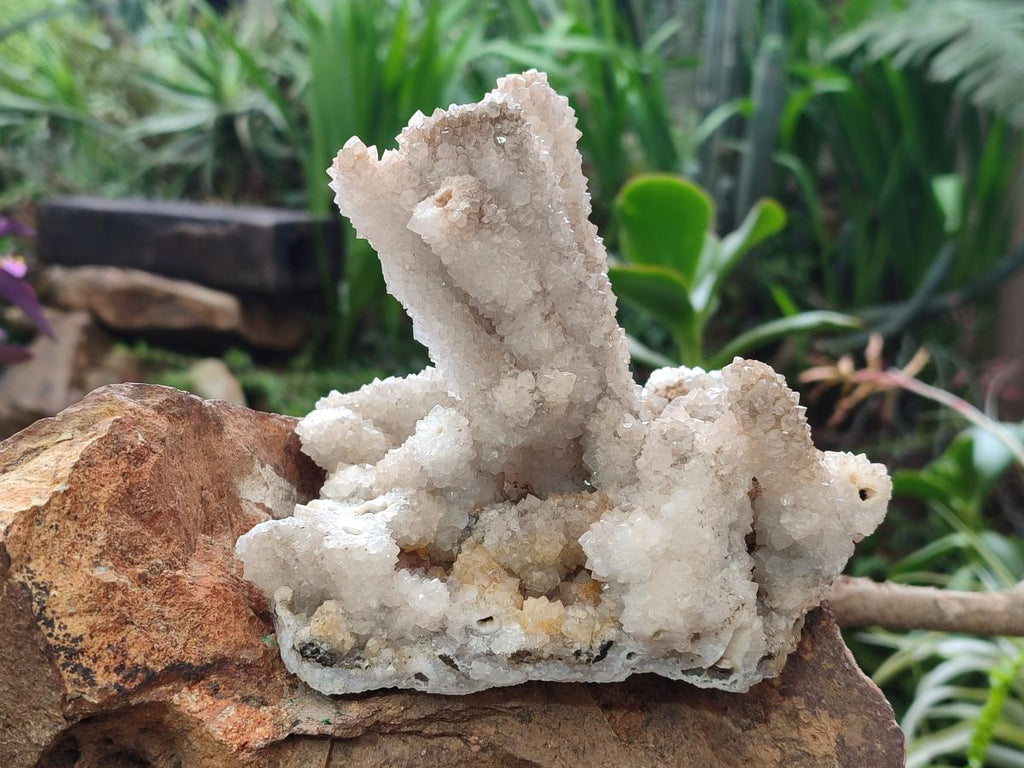 Natural Drusy Snow Finger Quartz Coated Clusters x 2 From Albert's Mountain, Lesotho