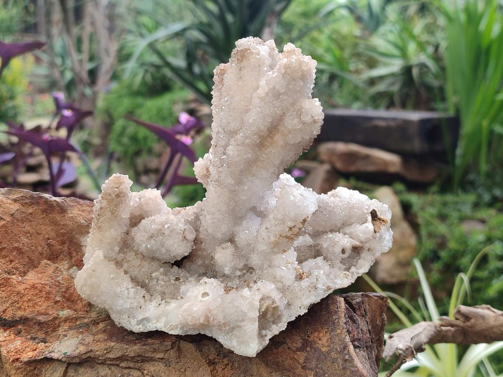 Natural Drusy Snow Finger Quartz Coated Clusters x 2 From Albert's Mountain, Lesotho
