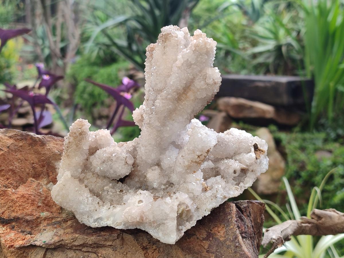Natural Drusy Snow Finger Quartz Coated Clusters x 2 From Albert's Mountain, Lesotho