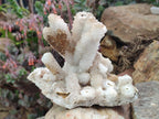 Natural Drusy Snow Finger Quartz Coated Clusters x 2 From Albert's Mountain, Lesotho