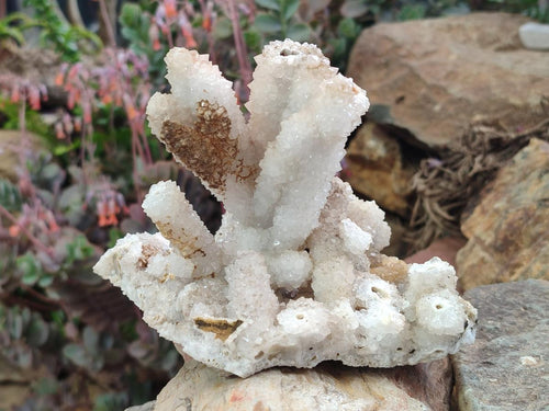 Natural Drusy Snow Finger Quartz Coated Clusters x 2 From Albert's Mountain, Lesotho
