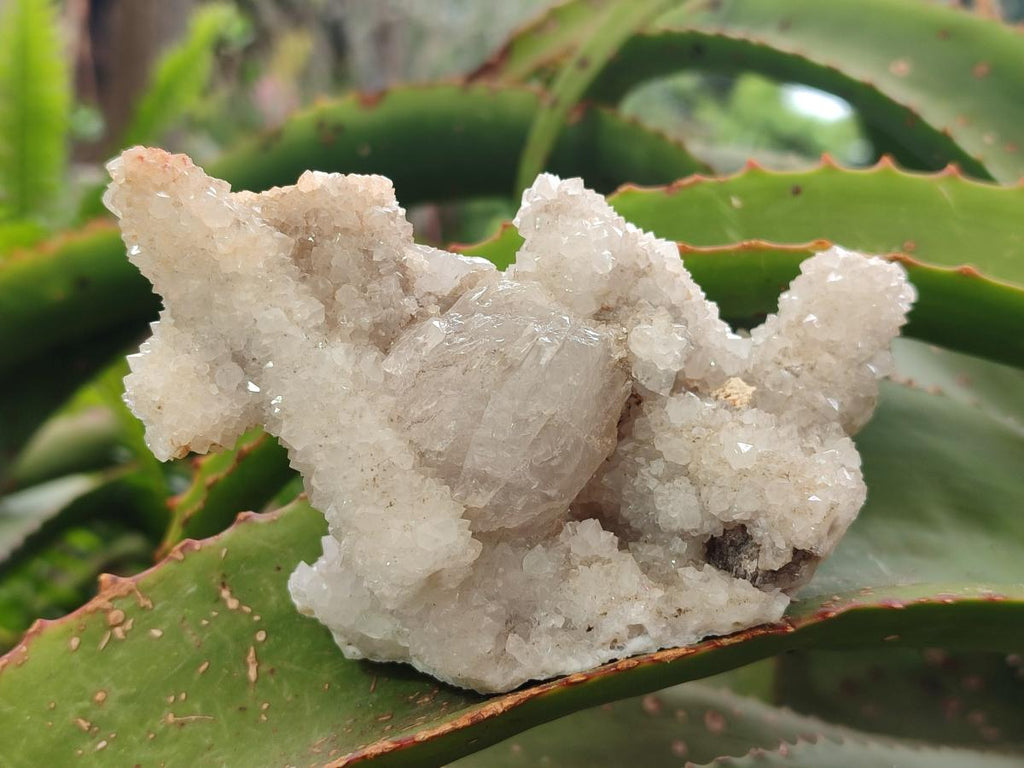 Natural Drusy Snow Finger Quartz Coated Clusters x 2 From Albert's Mountain, Lesotho