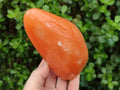 Polished Orange Calcite Standing Display Pieces x 2 From Madagascar