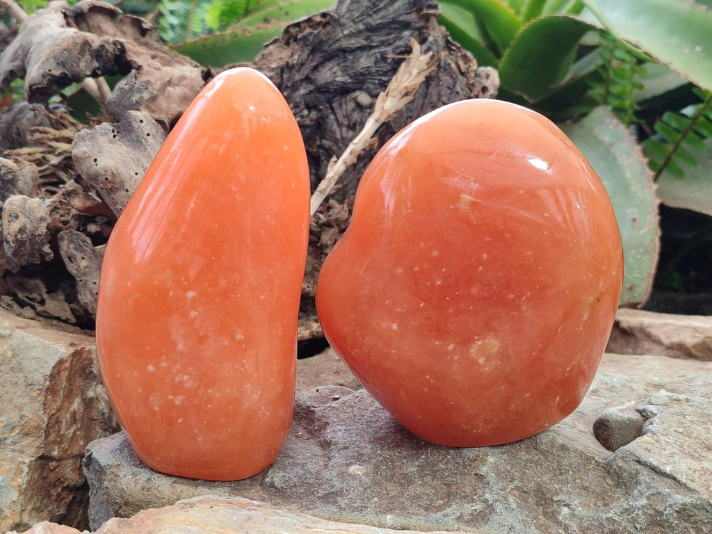 Polished Orange Calcite Standing Display Pieces x 2 From Madagascar