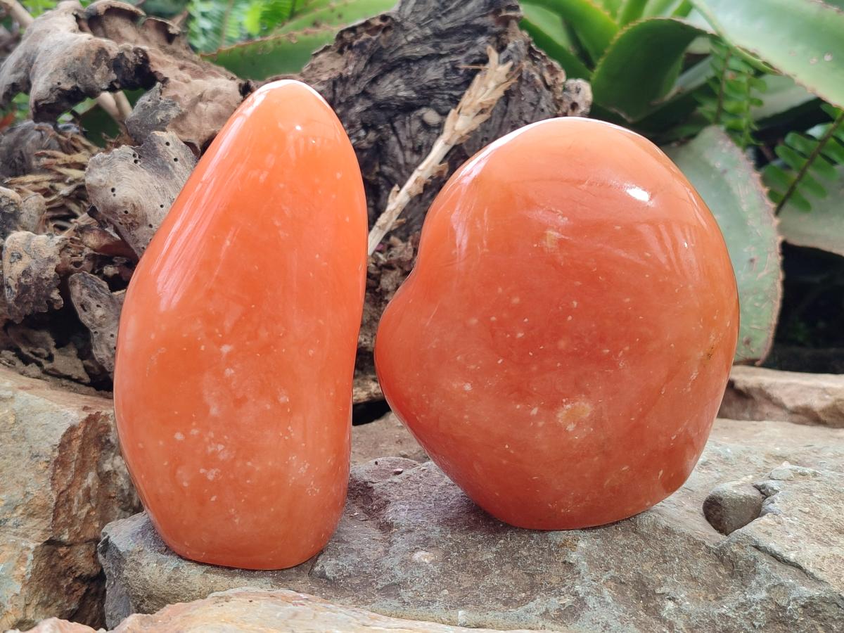 Polished Orange Calcite Standing Display Pieces x 2 From Madagascar