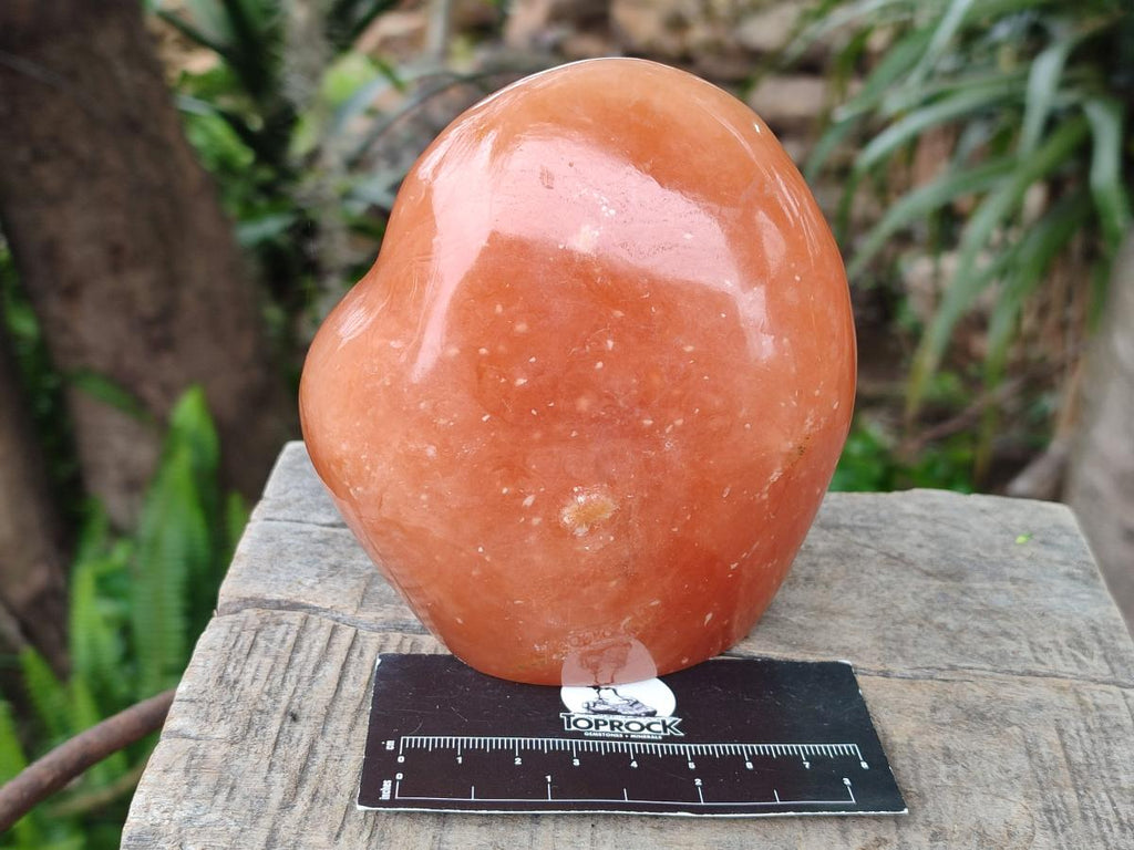 Polished Orange Calcite Standing Display Pieces x 2 From Madagascar