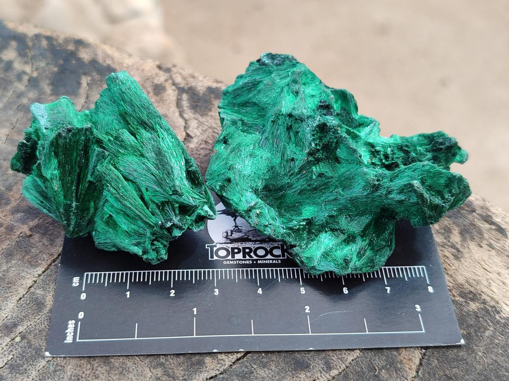 Natural Silky Malachite Specimens x 12 From Kasompe, Congo