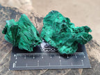 Natural Silky Malachite Specimens x 12 From Kasompe, Congo