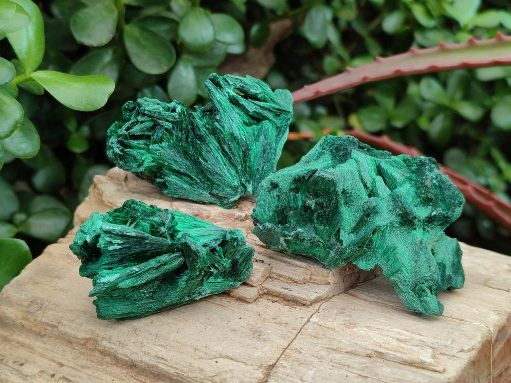 Natural Silky Malachite Specimens x 12 From Kasompe, Congo
