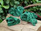 Natural Silky Malachite Specimens x 12 From Kasompe, Congo