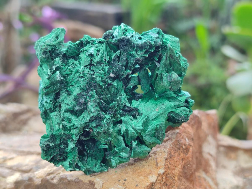 Natural Silky Malachite Specimens x 12 From Kasompe, Congo