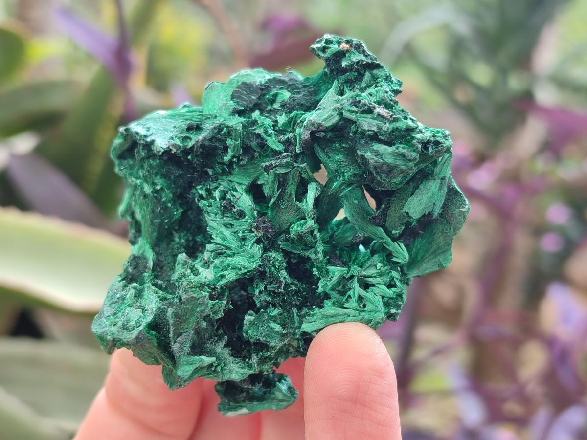 Natural Silky Malachite Specimens x 12 From Kasompe, Congo