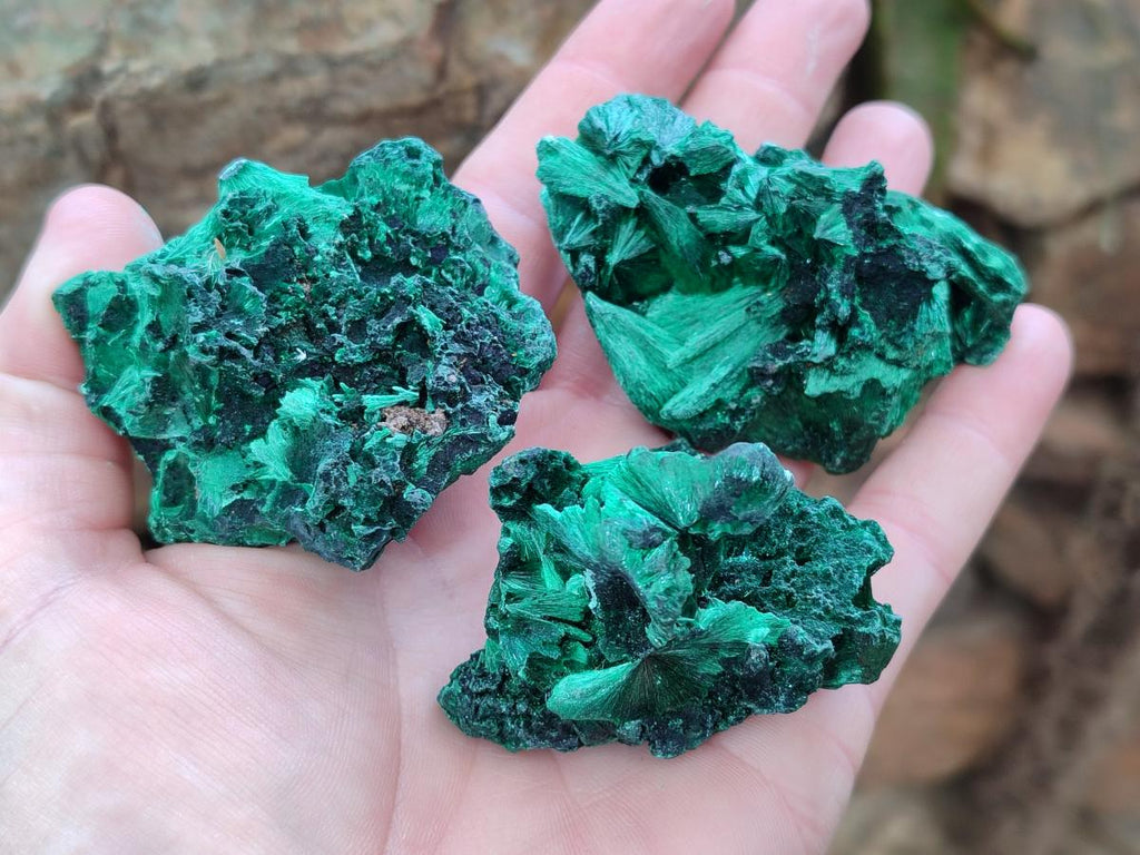 Natural Silky Malachite Specimens x 12 From Kasompe, Congo