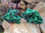 Natural Silky Malachite Specimens x 12 From Kasompe, Congo