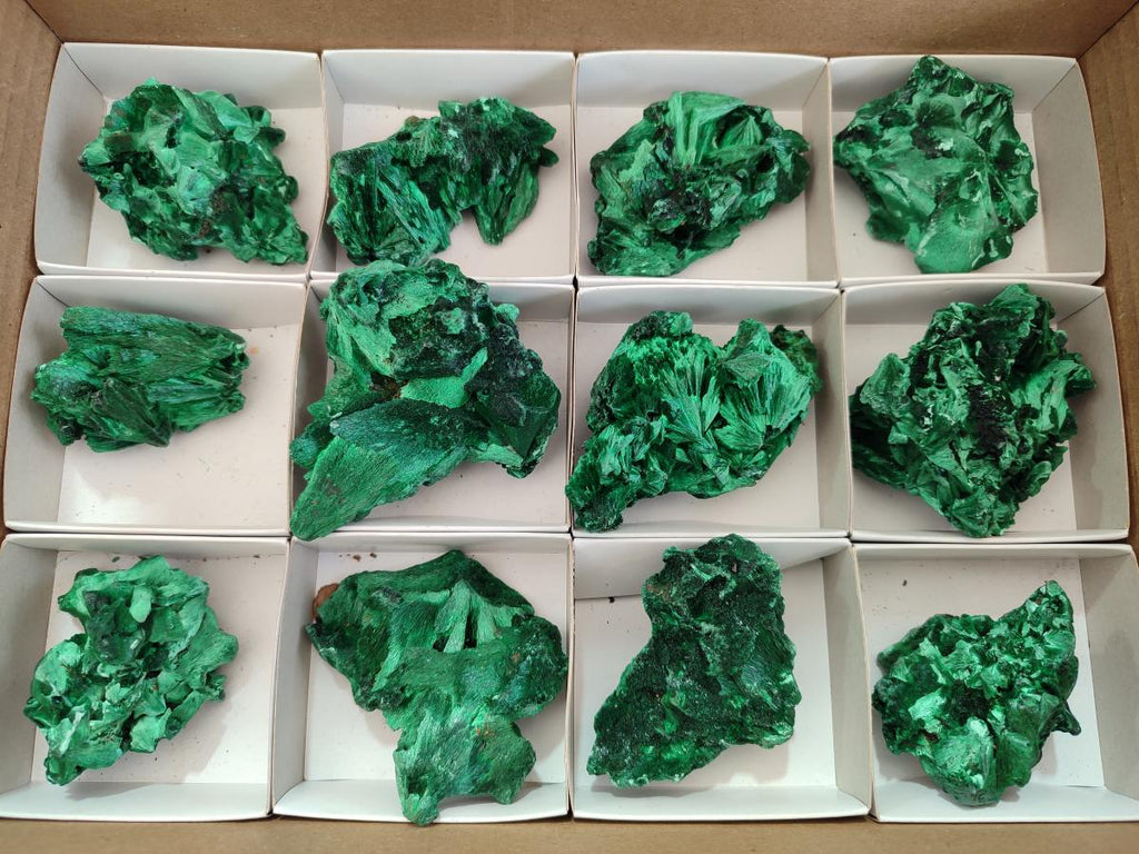 Natural Silky Malachite Specimens x 12 From Kasompe, Congo