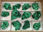 Natural Silky Malachite Specimens x 12 From Kasompe, Congo