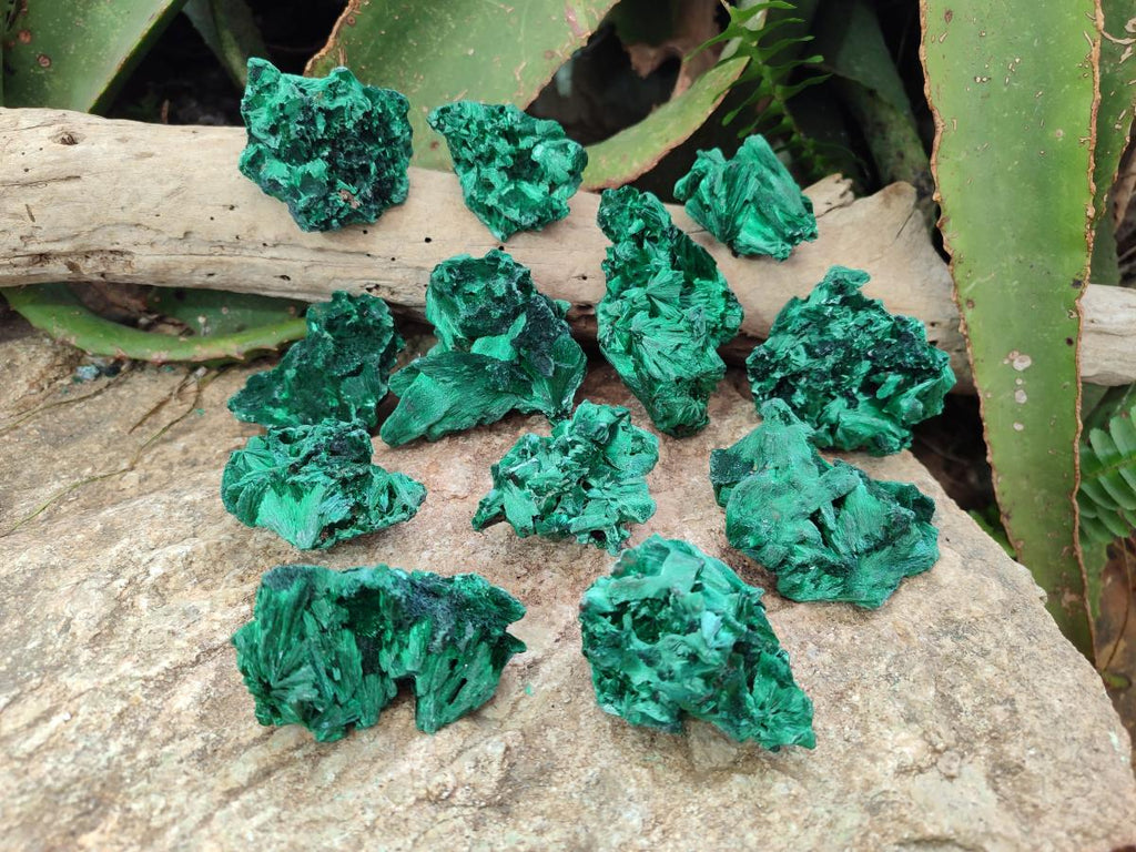 Natural Silky Malachite Specimens x 12 From Kasompe, Congo