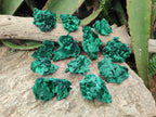 Natural Silky Malachite Specimens x 12 From Kasompe, Congo