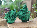 Natural Silky Malachite Specimens x 12 From Kasompe, Congo