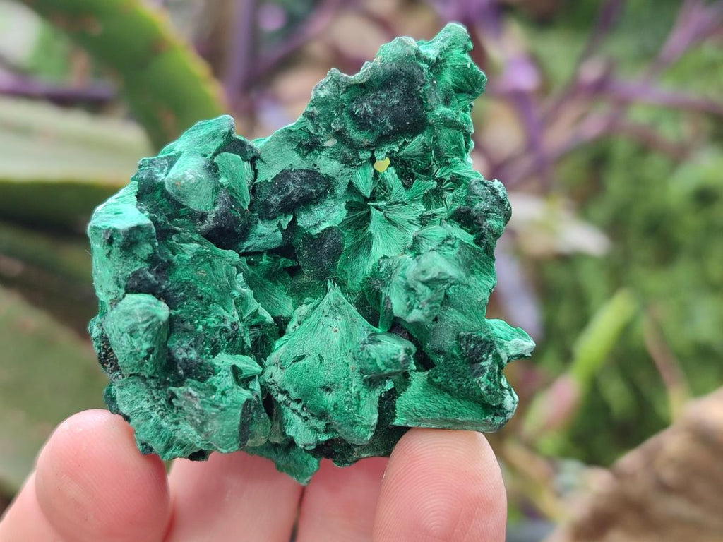 Natural Silky Malachite Specimens x 12 From Kasompe, Congo