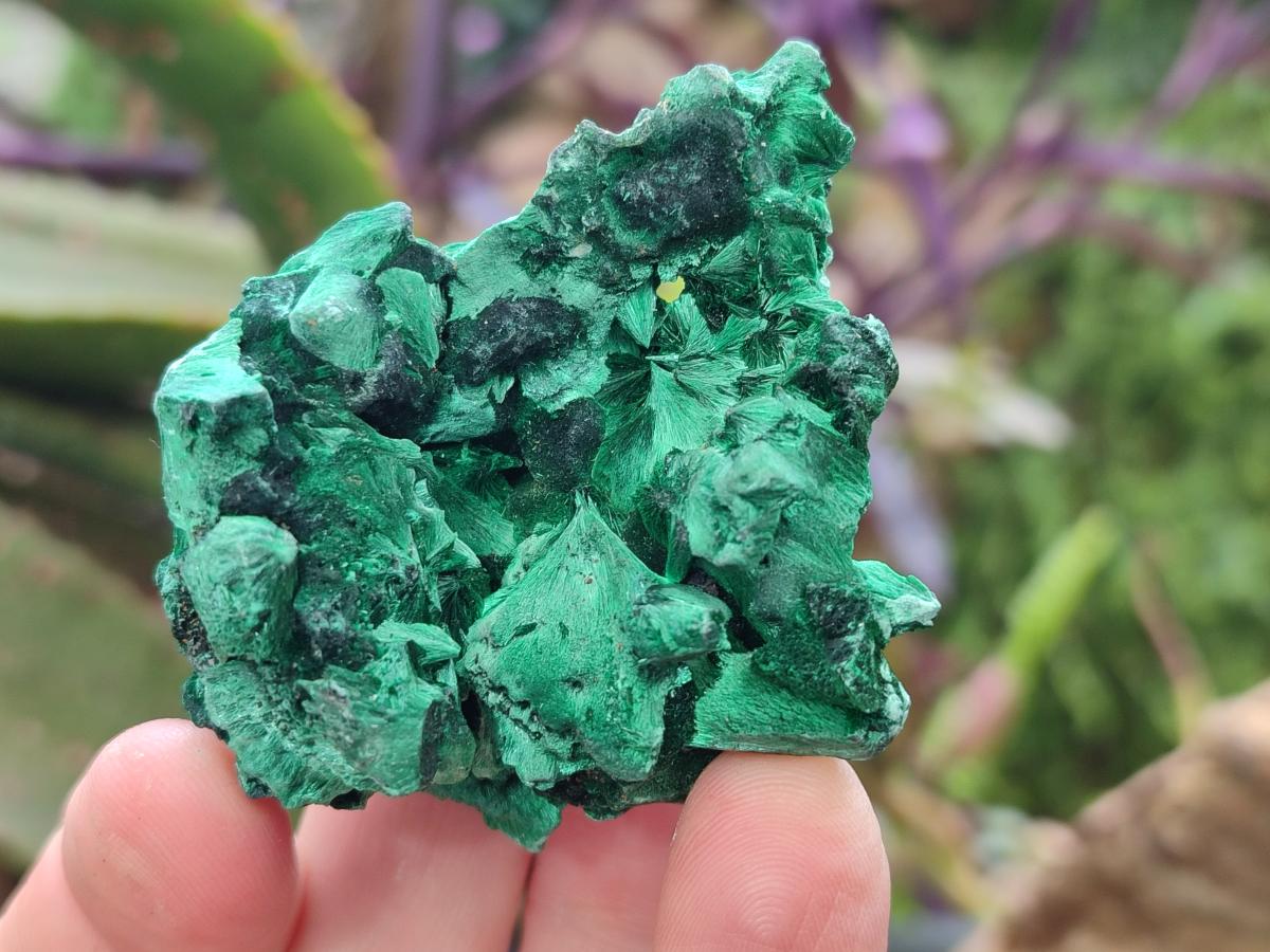 Natural Silky Malachite Specimens x 12 From Kasompe, Congo